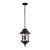 Уличный подвесной светильник Loft IT Prato 100021P