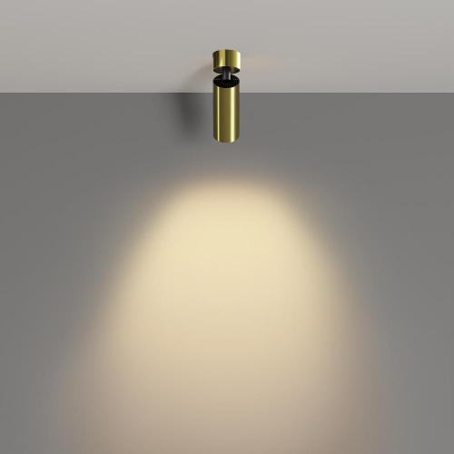 Потолочный светильник Technical C055CL-L12W2.7K-W-BS Потолочный светильник Technical C055CL-L12W2.7K-W-BS