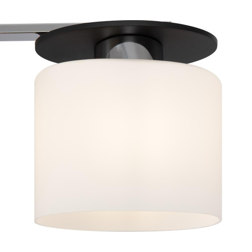 Потолочная люстра Freya Bice FR5101-CL-04-CN Потолочная люстра Freya Bice FR5101-CL-04-CN