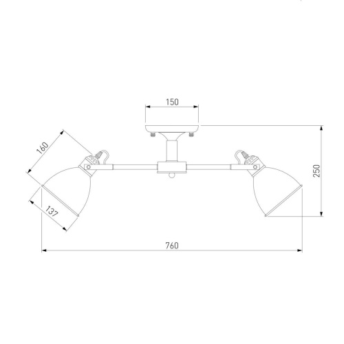 Потолочная люстра Eurosvet Denley 70112/8 черный