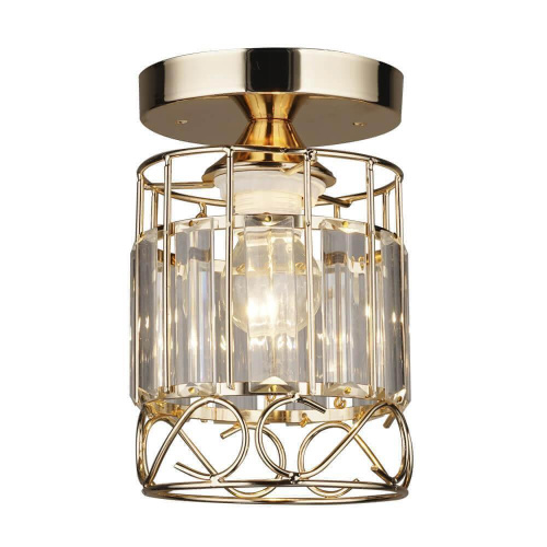 Потолочный светильник Seven Fires Нетта 66112.01.01.01 Потолочный светильник Seven Fires Нетта 66112.01.01.01