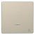 Клавиша одинарная Schneider Electric Merten D-Life MTN3325-6033