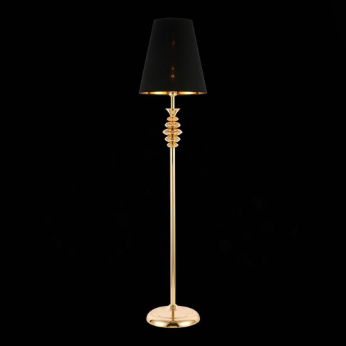 Торшер Evoluce Rionfo SL1137.205.01