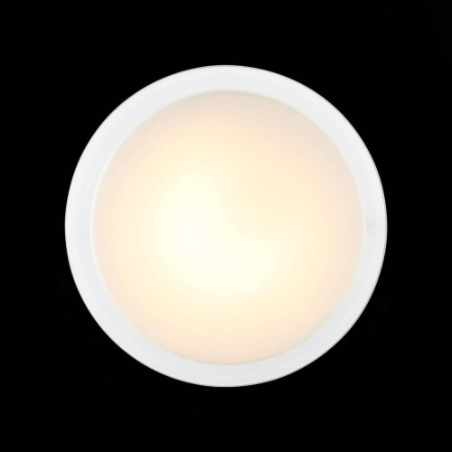 Потолочный светодиодный светильник ST Luce Botone SL466.512.01