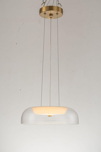 Подвесной светодиодный светильник Arti Lampadari Narbolia L 1.P4 CL