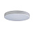 Потолочный светодиодный светильник Loft IT Axel 10002/24 white