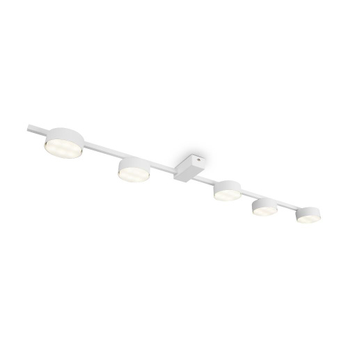 Потолочный светильник Freya FR5363CL-05W Потолочный светильник Freya FR5363CL-05W