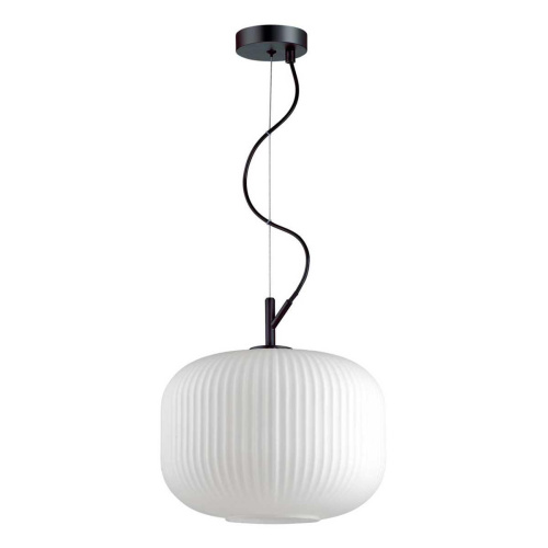 Подвесной светильник Odeon Light Roofi 4754/1