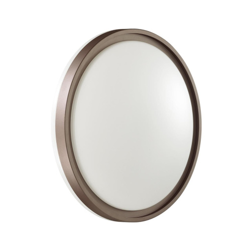 Настенно-потолочный светодиодный светильник Sonex Pale Navil 3044/EL