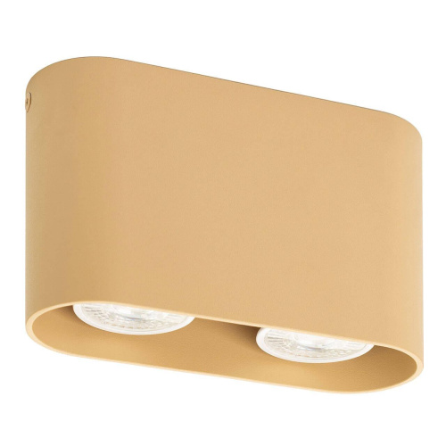 Потолочный светильник Denkirs DK2006-CO Потолочный светильник Denkirs DK2006-CO