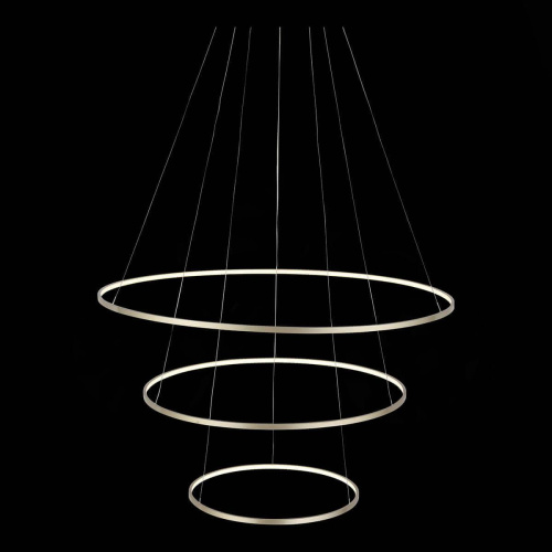 Подвесная светодиодная люстра ST Luce Erto SL904.203.03 Подвесная светодиодная люстра ST Luce Erto SL904.203.03
