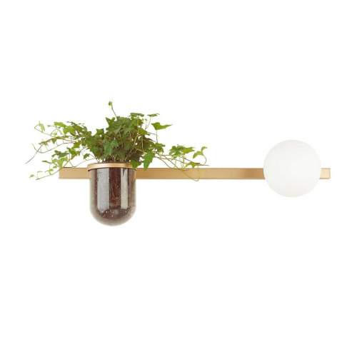 Настенный светильник Odeon Light Flower 4682/1WA Настенный светильник Odeon Light Flower 4682/1WA