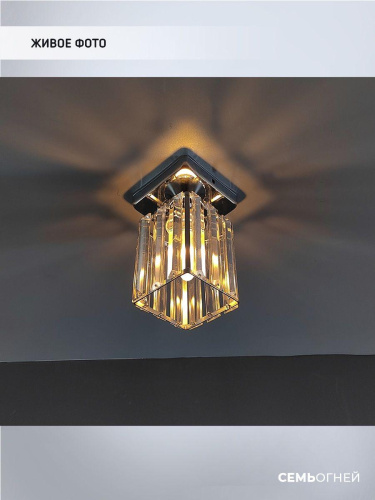 Потолочный светильник Seven Fires Netta WD3519/1C-CR-CL Потолочный светильник Seven Fires Netta WD3519/1C-CR-CL