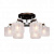 Потолочная люстра Silver Light Camelot 253.59.6