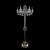 Торшер Bohemia Ivele 1406T2/6/195-160 G