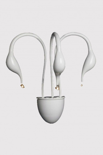 Настенный светильник CYGNUS