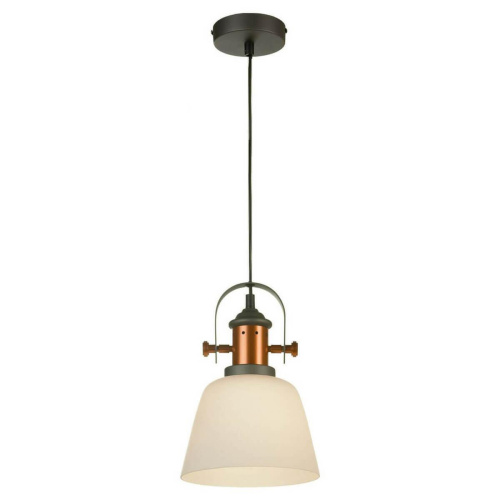 Подвесной светильник Lussole Loft LSP-9846 Подвесной светильник Lussole Loft LSP-9846