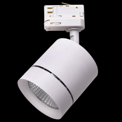 Трековый светодиодный светильник Lightstar Canno Led 301562