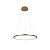 Подвесной светодиодный светильник Loft IT Ring 10014M