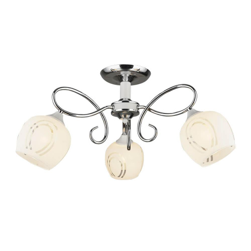 Потолочная люстра Wedo Light Imola 66204.01.64.03