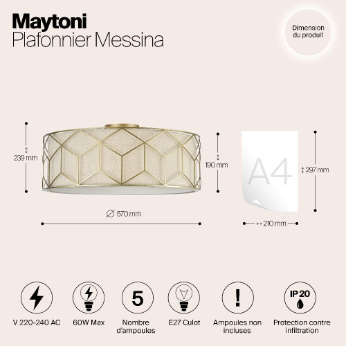 Потолочный светильник Maytoni Messina H223-PL-05-G