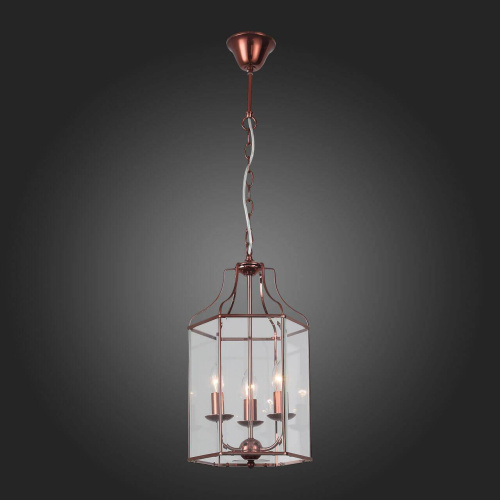 Подвесная люстра ST Luce Terso SL228.603.03