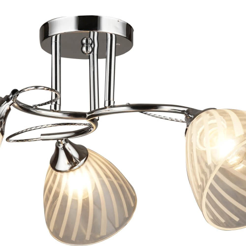 Потолочная люстра Wedo Light Форли 66254.01.03.03