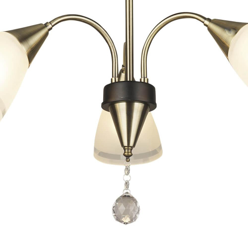 Потолочная люстра Seven Fires Eliena 66612.01.37.03