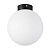Настенно-потолочный светильник Lightstar Globo 812027