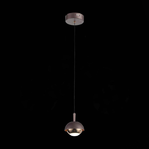 Подвесной светодиодный светильник ST Luce Entolla SL1602.323.01 Подвесной светодиодный светильник ST Luce Entolla SL1602.323.01