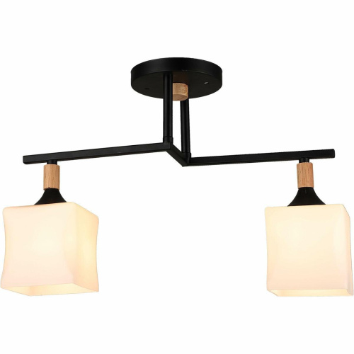 Потолочный светильник Reluce 04609-0.3-02 Потолочный светильник Reluce 04609-0.3-02