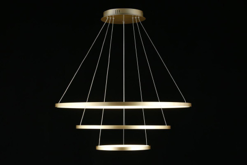 Подвесной светодиодный светильник Aployt Lunet APL.014.03.100