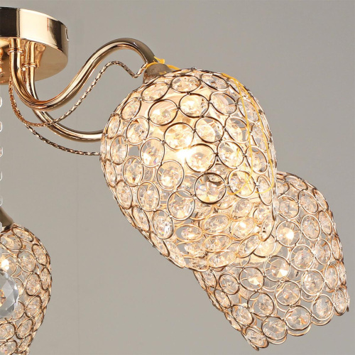 Потолочная люстра Reluce 04735-0.3-05