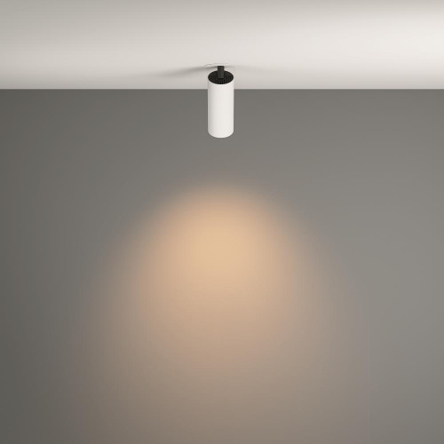 Потолочный светильник Technical C053CL-L12W3K-W-W