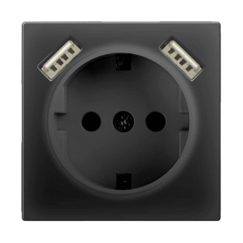 Розетка Werkel с заземлением, шторками и USBx2 черный матовый WL08-SKGS-USBx2-IP20 4690389073236