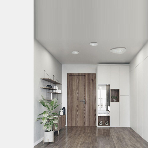 Потолочный светильник Nowodvorski Organic 8305 Потолочный светильник Nowodvorski Organic 8305