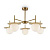 Потолочная люстра Freya Camelia FR5202PL-05BS