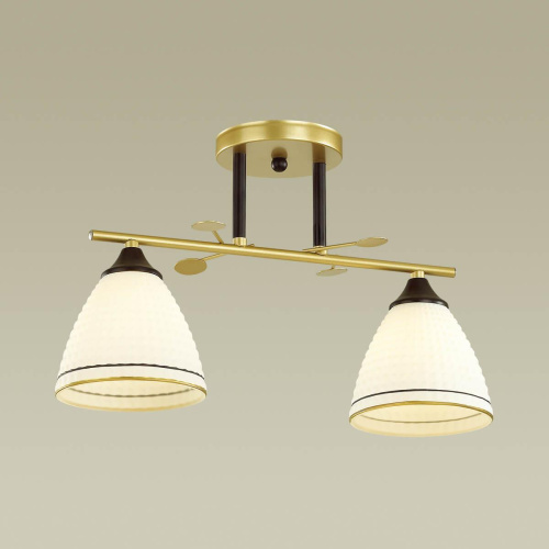 Потолочная люстра Lumion Becky 4544/2C