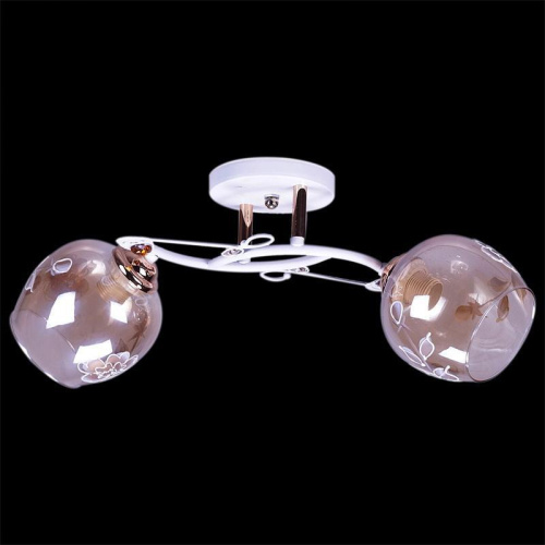 Потолочный светильник Reluce 27120-0.3-02 Потолочный светильник Reluce 27120-0.3-02