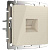 Розетка Ethernet RJ-45 Werkel слоновая кость W1181003 4690389155857