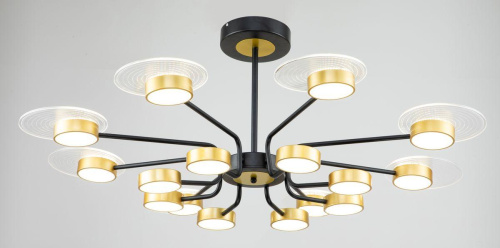 Потолочная светодиодная люстра Escada Halo 10211/SG LED