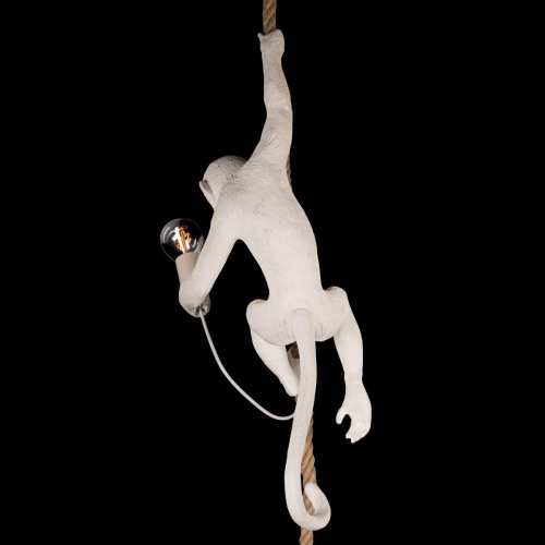 Подвесной светильник Loft IT Monkey 10314P Подвесной светильник Loft IT Monkey 10314P