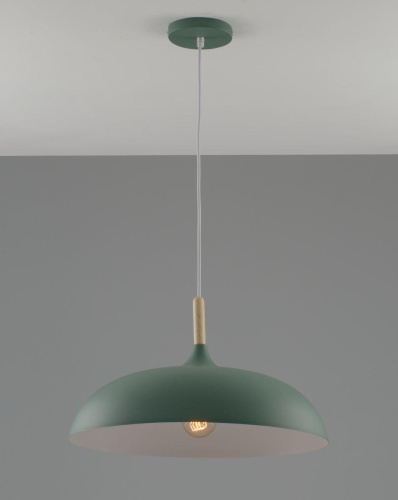 Подвесной светильник Moderli Hygo V11453-1P