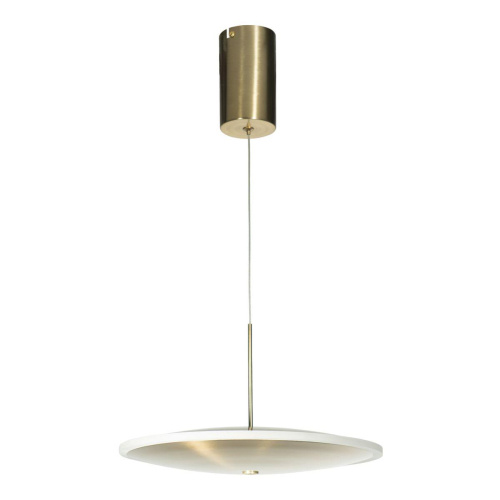 Подвесной светодиодный светильник Loft IT Ruedo 10036/300 Подвесной светодиодный светильник Loft IT Ruedo 10036/300