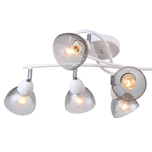 Потолочная люстра F-Promo Rosebud 2350-6U