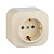 Розетка 2К+З Legrand Quteo 16A 250V с/з слоновая кость 782241
