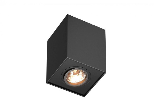 Потолочный светильник Zumaline Quadro 89200-BK