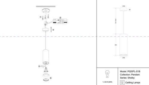 Подвесной светильник Maytoni Shelby P020PL-01B