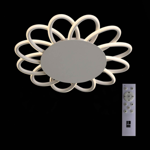 Потолочный светодиодный светильник ST Luce Camomilla SL828.502.12