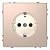 Розетка Schneider Electric Merten D-Life 16A с/з и шторками MTN2300-6051